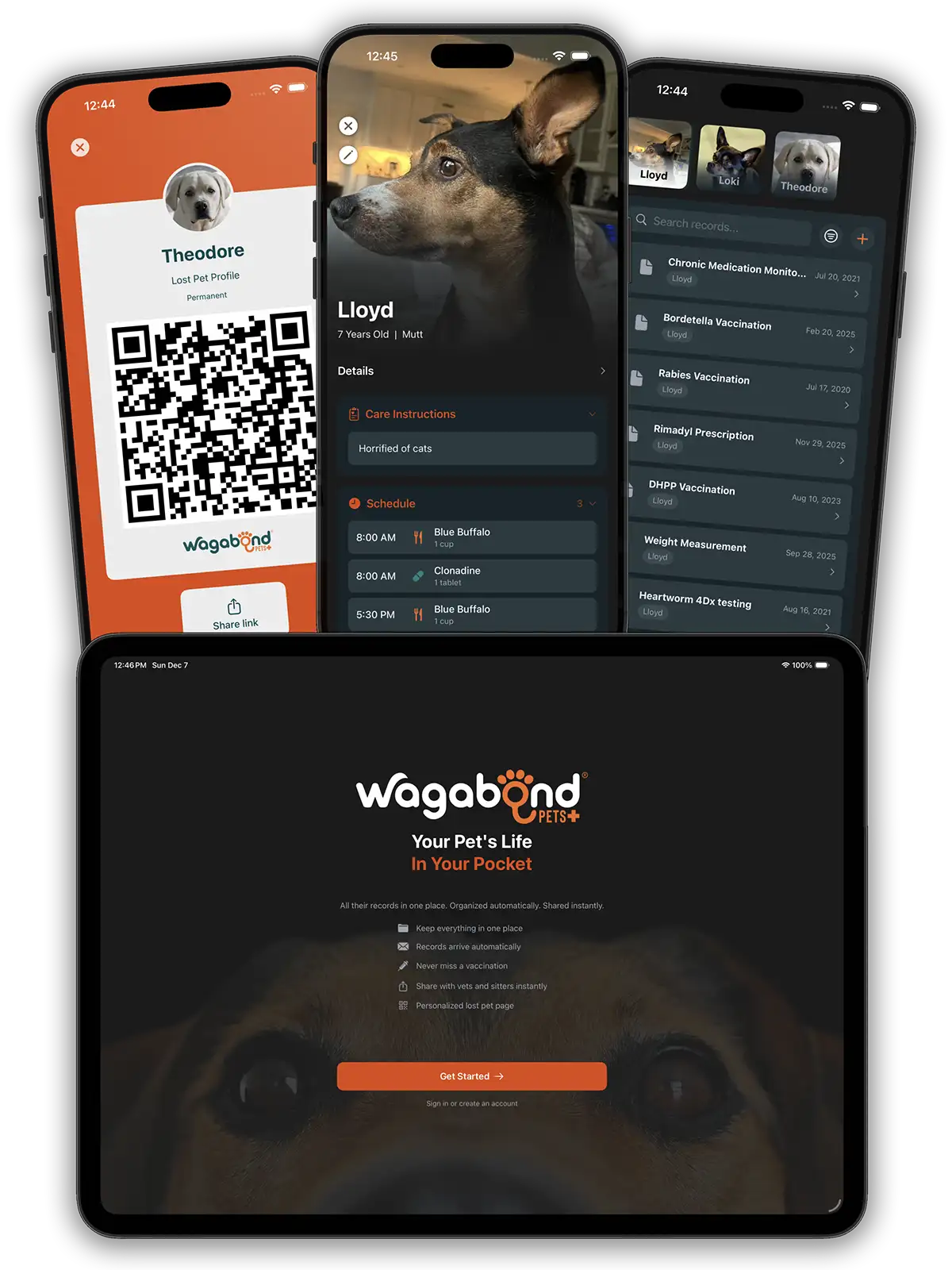 Wagabond Pets app displayed on multiple devices
